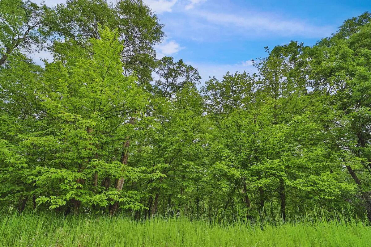 Catskill Cir, Breezy Point, MN 56472, USA