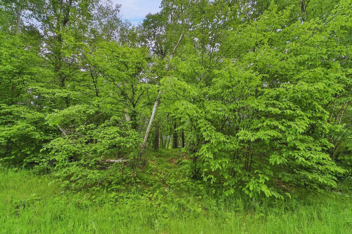 Catskill Cir, Breezy Point, MN 56472, USA